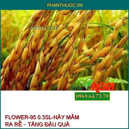 FLOWER-95 0.3SL-NẢY MẦM RA RỄ – TĂNG ĐẬU QUẢ