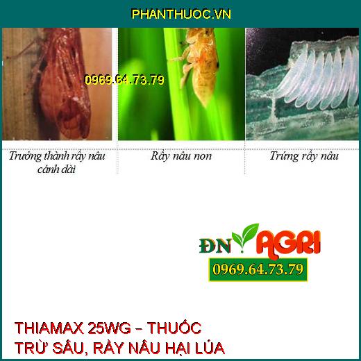 THIAMAX 25WG – THUỐC TRỪ SÂU, RẦY NÂU HẠI LÚA