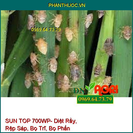 SUN TOP 700WP- Diệt Rầy, Rệp Sáp, Bọ Trĩ, Bọ Phấn