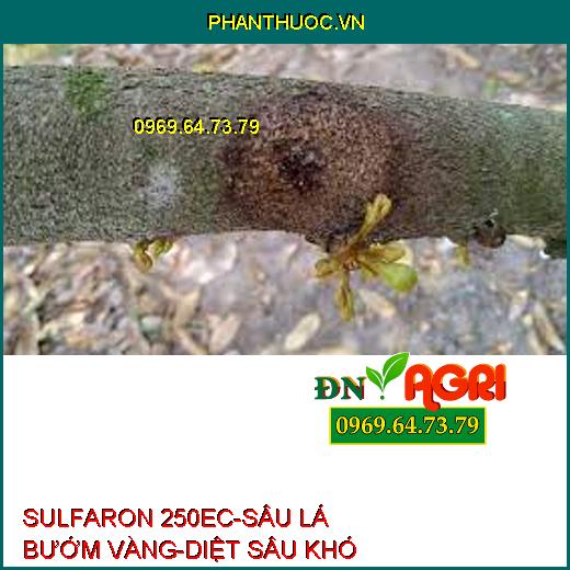 SULFARON 250EC-SÂU LÁ BƯỚM VÀNG-DIỆT SÂU KHÓ TRỊ