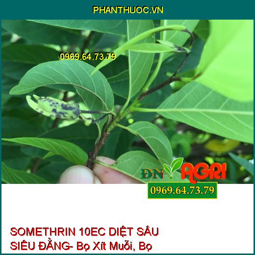 SOMETHRIN 10EC DIỆT SÂU SIÊU ĐẲNG- Bọ Xít Muỗi, Bọ Trĩ