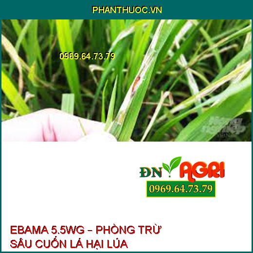 EBAMA 5.5WG – PHÒNG TRỪ SÂU CUỐN LÁ HẠI LÚA