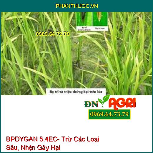 BPDYGAN 5.4EC- Trừ Các Loại Sâu, Nhện Gây Hại