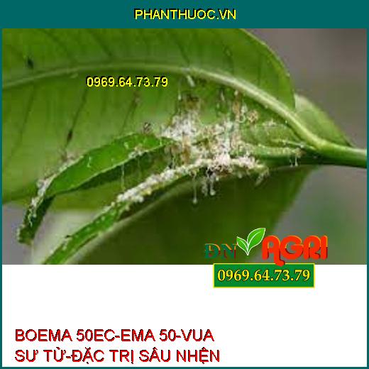 BOEMA 50EC-EMA 50-VUA SƯ TỬ-ĐẶC TRỊ SÂU NHỆN