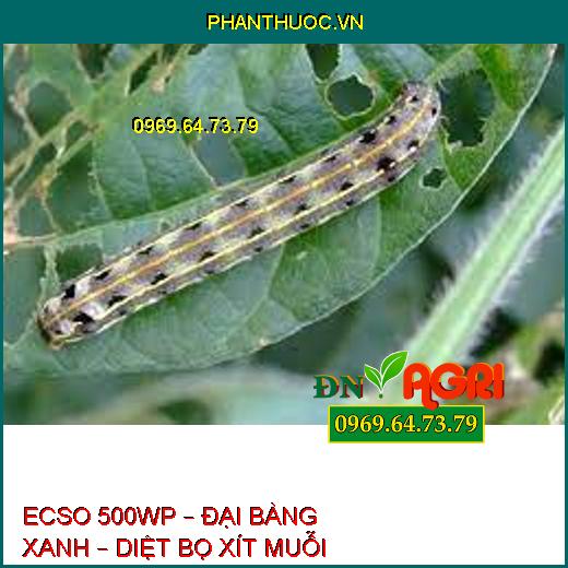 ECSO 500WP – ĐẠI BÀNG XANH – DIỆT BỌ XÍT MUỖI