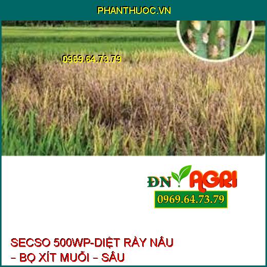 SECSO 500WP-DIỆT RẦY NÂU – BỌ XÍT MUỖI – SÂU KHOANG