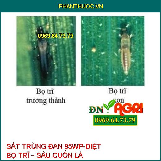 SÁT TRÙNG ĐAN 95WP-DIỆT BỌ TRĨ – SÂU CUỐN LÁ