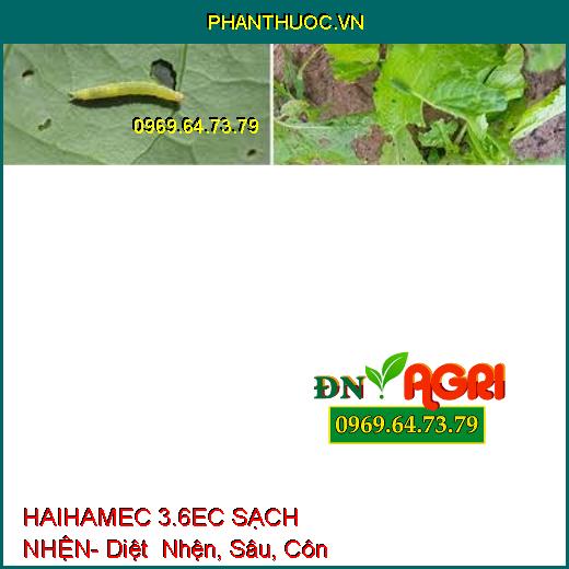 HAIHAMEC 3.6EC SẠCH NHỆN- Diệt Nhện, Sâu, Côn Trùng