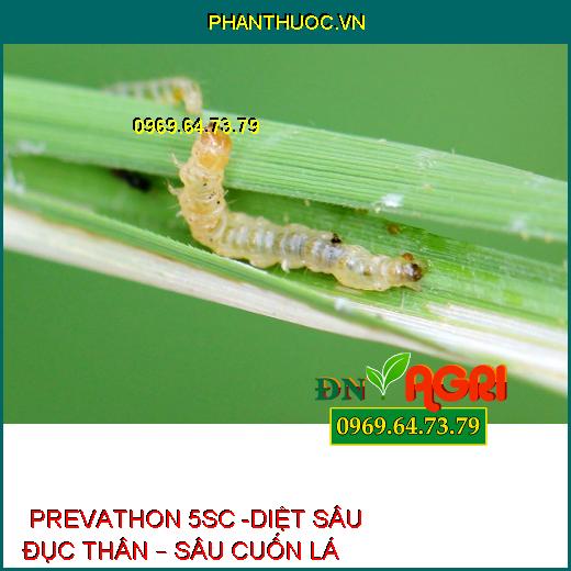  PREVATHON 5SC -DIỆT SÂU ĐỤC THÂN – SÂU CUỐN 