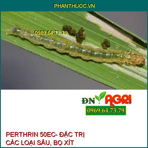 PERTHRIN 50EC- ĐẶC TRỊ CÁC LOẠI SÂU, BỌ XÍT