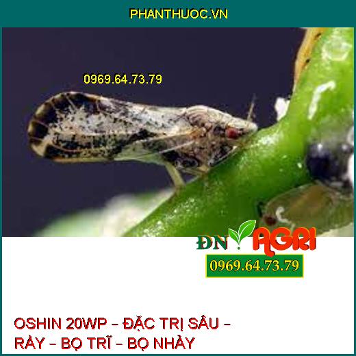 OSHIN 20WP – ĐẶC TRỊ SÂU – RẦY – BỌ TRĨ – BỌ NHẢY