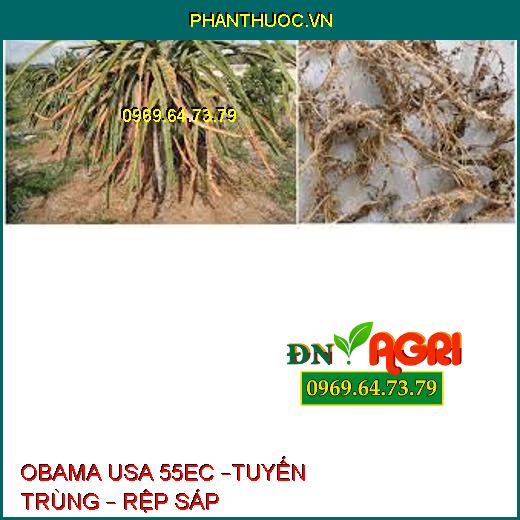 OBAMA USA 55EC –TUYẾN TRÙNG – RỆP SÁP 