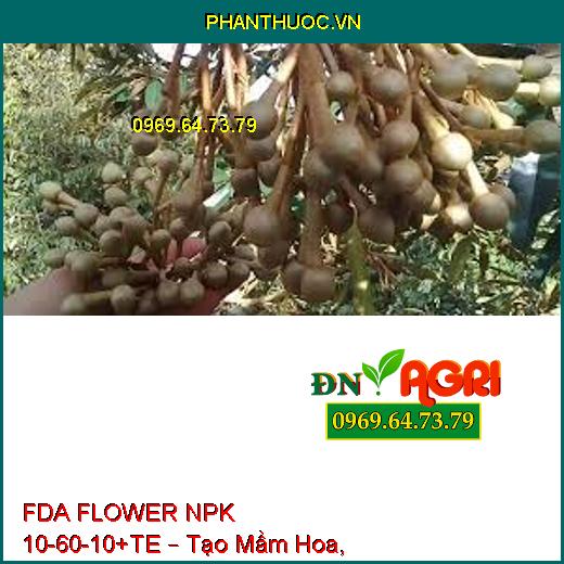 FDA FLOWER NPK 10-60-10+TE – Tạo Mầm Hoa, Kích Hoa