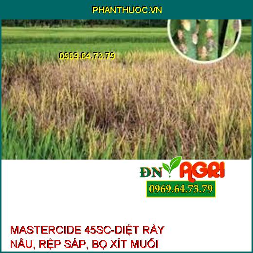 MASTERCIDE 45SC-DIỆT RẦY NÂU, RỆP SÁP, BỌ XÍT MUỖI