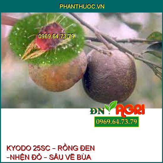 KYODO 25SC – RỒNG ĐEN –NHỆN ĐỎ – SÂU VẼ BÙA