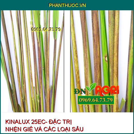 KINALUX 25EC- ĐẶC TRỊ NHỆN GIÉ VÀ CÁC LOẠI SÂU