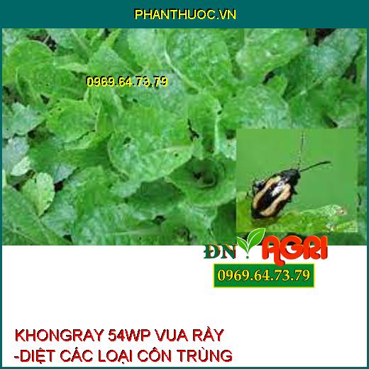 KHONGRAY 54WP VUA RẦY -DIỆT CÁC LOẠI CÔN TRÙNG