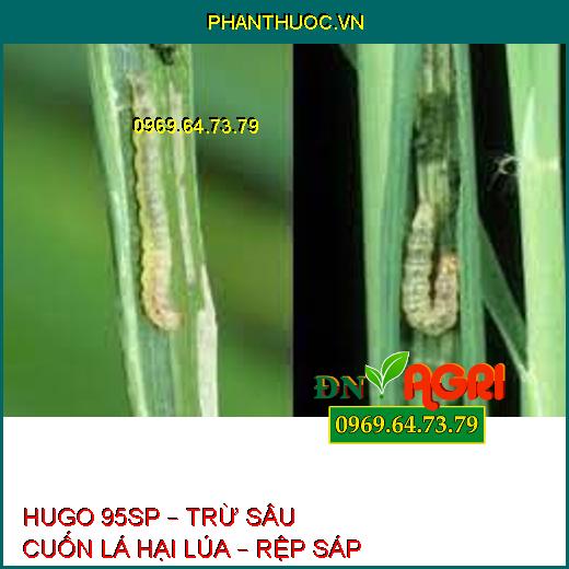 HUGO 95SP – TRỪ SÂU CUỐN LÁ HẠI LÚA – RỆP SÁP