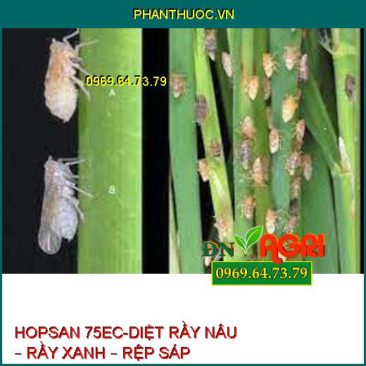 HOPSAN 75EC-DIỆT RẦY NÂU – RẦY XANH – RỆP SÁP