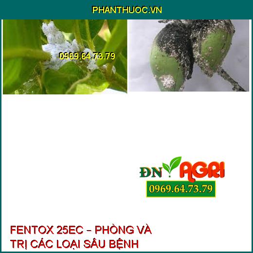 FENTOX 25EC – PHÒNG VÀ TRỊ CÁC LOẠI SÂU BỆNH