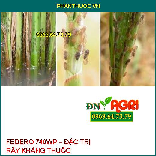 FEDERO 740WP – ĐẶC TRỊ RẦY KHÁNG THUỐC