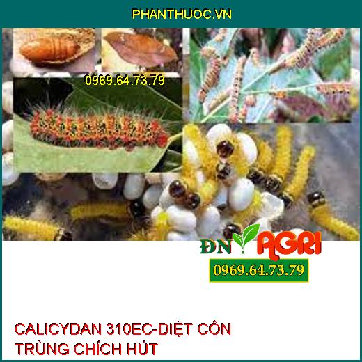 CALICYDAN 310EC-DIỆT CÔN TRÙNG CHÍCH HÚT