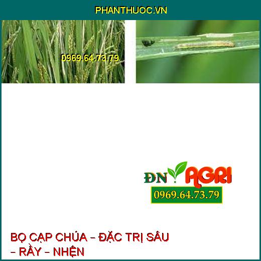 BỌ CẠP CHÚA – ĐẶC TRỊ SÂU – RẦY – NHỆN