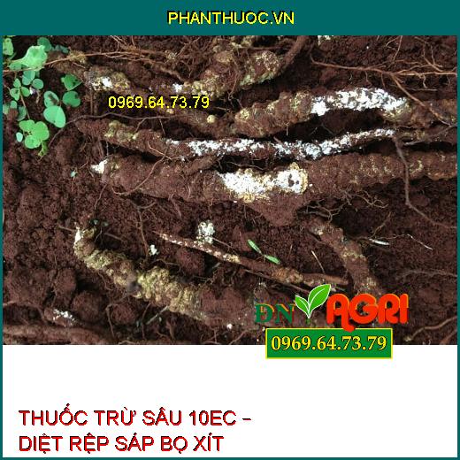 THUỐC TRỪ SÂU 10EC – DIỆT RỆP SÁP BỌ XÍT