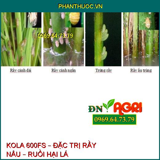 KOLA 600FS – ĐẶC TRỊ RẦY NÂU – RUỒI HẠI LÁ