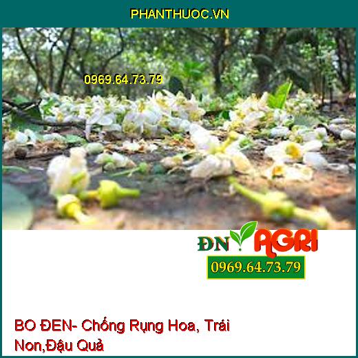 BO ĐEN- Chống Rụng Hoa, Trái Non,Đậu Quả