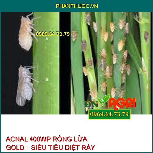 ACNAL 400WP RỒNG LỬA GOLD – SIÊU TIÊU DIỆT RẦY