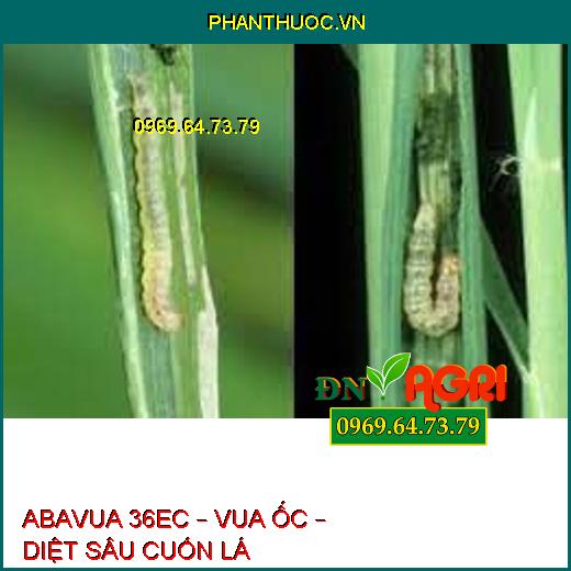 ABAVUA 36EC – VUA ỐC – DIỆT SÂU CUỐN LÁ