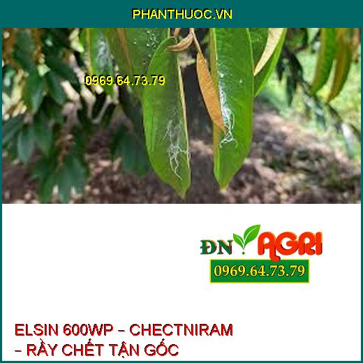 ELSIN 600WP – CHECTNIRAM – RẦY CHẾT TẬN GỐC