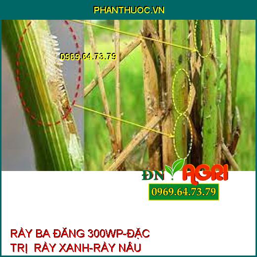 RẦY BA ĐĂNG 300WP-ĐẶC TRỊ RẦY XANH-RẦY NÂU