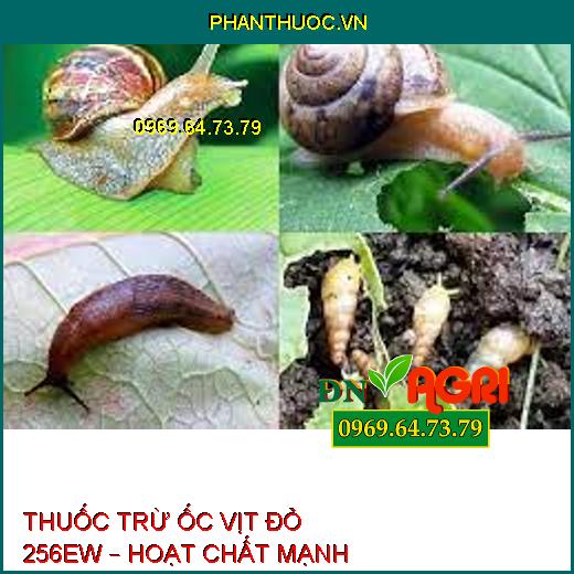 THUỐC TRỪ ỐC VỊT ĐỎ 256EW – HOẠT CHẤT MẠNH