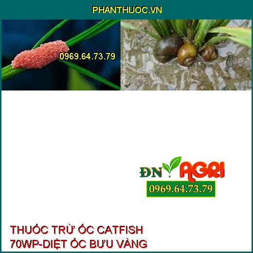 THUỐC TRỪ ỐC CATFISH 70WP-DIỆT ỐC BƯU VÀNG