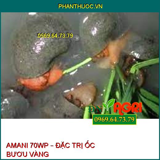 AMANI 70WP – ĐẶC TRỊ ỐC BƯƠU VÀNG