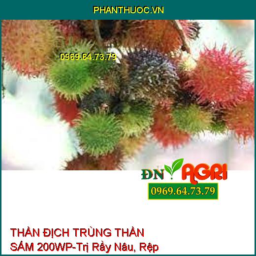 THẦN ĐỊCH TRÙNG THẦN SẤM 200WP-Trị Rầy Nâu, Rệp Sáp