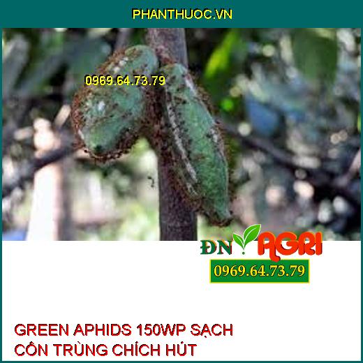 GREEN APHIDS 150WP SẠCH CÔN TRÙNG CHÍCH HÚT