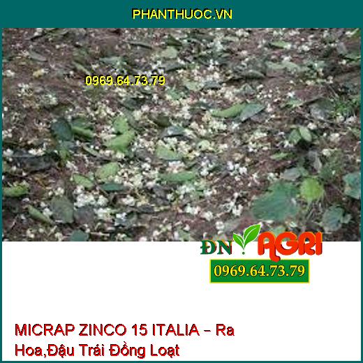 MICRAP ZINCO 15 ITALIA – Ra Hoa,Đậu Trái Đồng Loạt