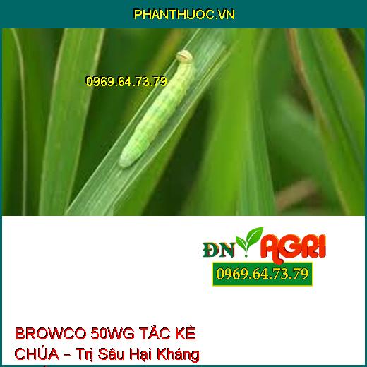 BROWCO 50WG TẮC KÈ CHÚA – Trị Sâu Hại Kháng Thuốc