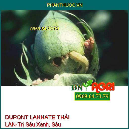 DUPONT LANNATE THÁI LAN-Trị Sâu Xanh, Sâu Khoang,Bọ Trĩ