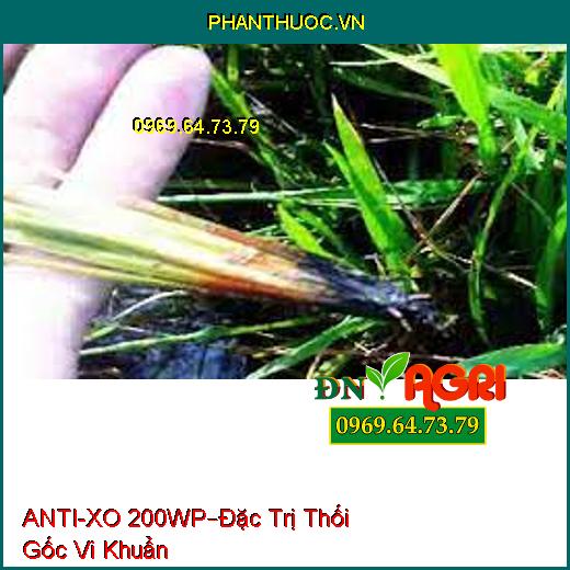 ANTI-XO 200WP–Đặc Trị Thối Gốc Vi Khuẩn