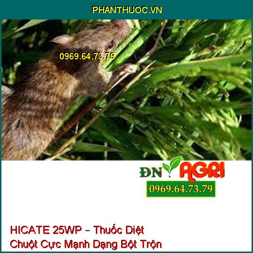 HICATE 25WP – Thuốc Diệt Chuột Cực Mạnh Dạng Bột Trộn Mồi