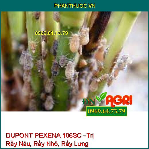 DUPONT PEXENA 106SC –Trị Rầy Nâu, Rầy Nhỏ, Rầy Lưng Trắng