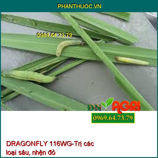 DRAGONFLY 116WG-Trị các loại sâu, nhện đỏ