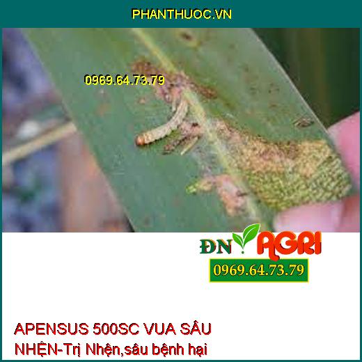 APENSUS 500SC VUA SÂU NHỆN-Trị Nhện,sâu bệnh hại