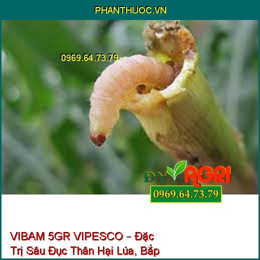 VIBAM 5GR VIPESCO – Đặc Trị Sâu Đục Thân Hại Lúa, Bắp