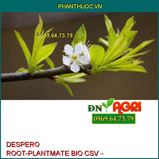 DESPERO ROOT-PLANTMATE BIO CSV – Đâm Chồi,Nuôi Quả