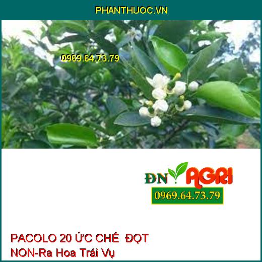 PACOLO 20 ỨC CHẾ ĐỌT NON-Ra Hoa Trái Vụ